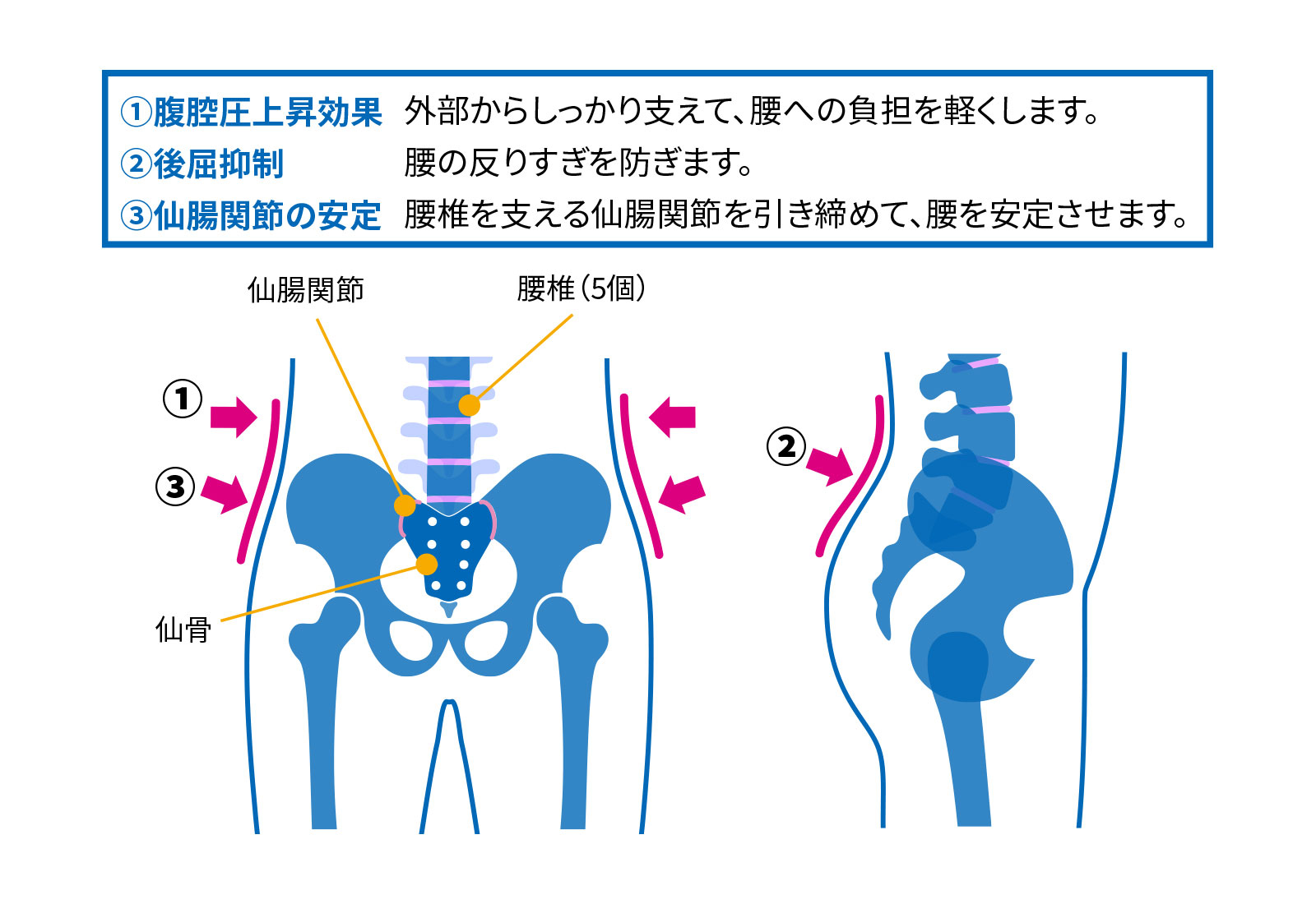 痛みのある腰・骨盤を支えるサポーターと選び方｜ジャーナル（サポーター）｜ザムスト公式オンラインショップ【ZAMST Online】