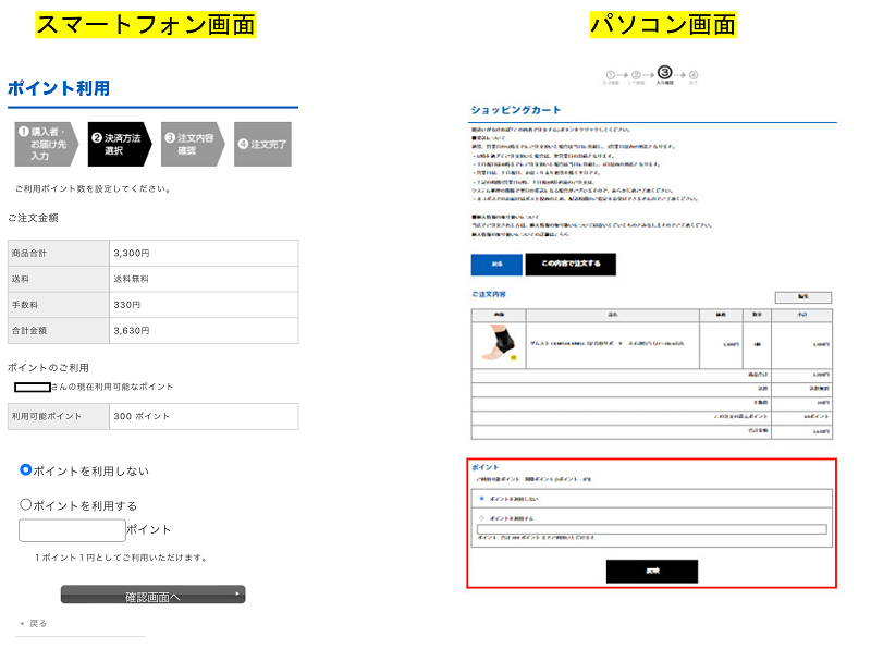 使用ポイントの入力欄